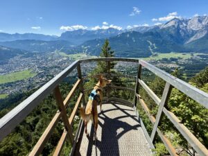 Felskanzel Wandern mit Hund Garmisch