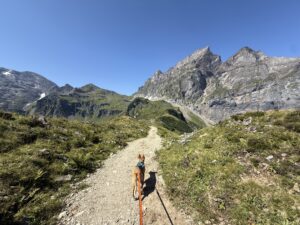 Einfache Wege auf der Via Alpina in der Schweiz