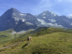 Ralfi posiert vor Eiger, Mönch und Jungfrau