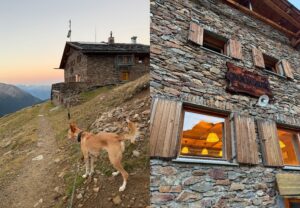Auf der Oberetteshütte im Vinschgau sind Hunde erlaubt.