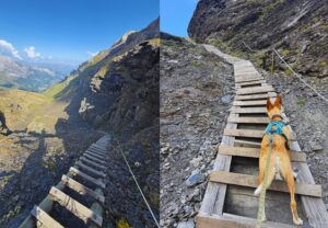 Wandern mit Hund: auf der Schweizer Via Alpina warten viel Treppen auf uns.